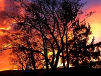 Sonnenaufgang Bad Harzburg 6.1.2014 2